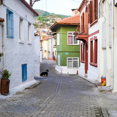 Muğla