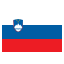 Slovanian flag